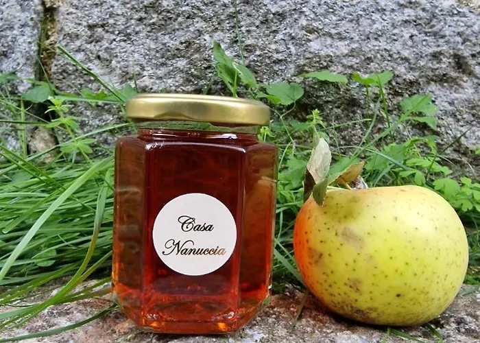Alojamento de Acomodação e Pequeno-almoço Casa Nanuccia