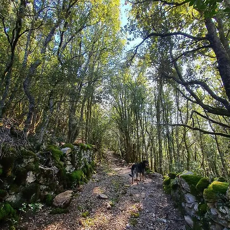 Casa Nanuccia 3*